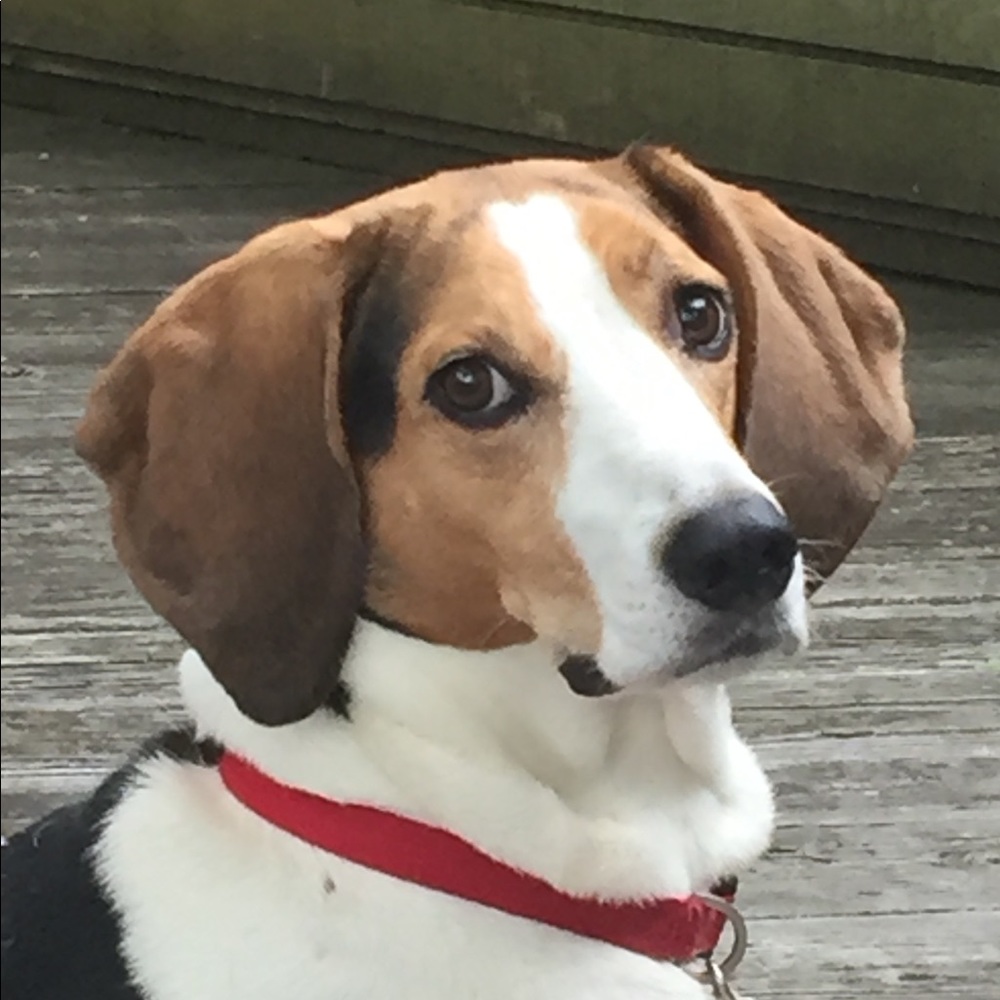 Meet your Posher, Howie